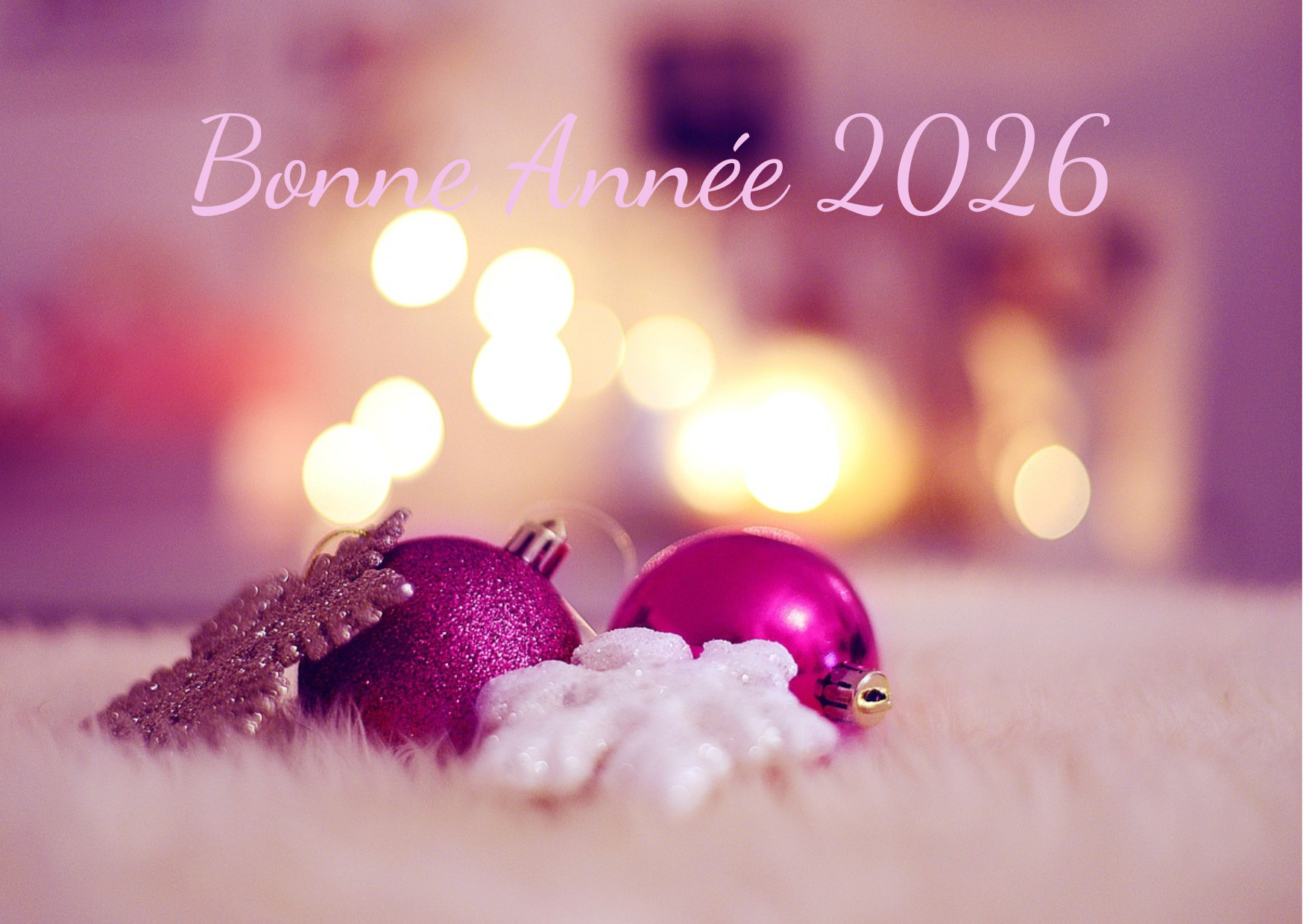 Bonne Année (2)